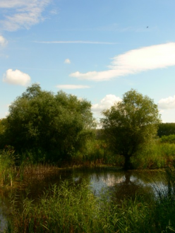 Tisza folyó – 3. kép